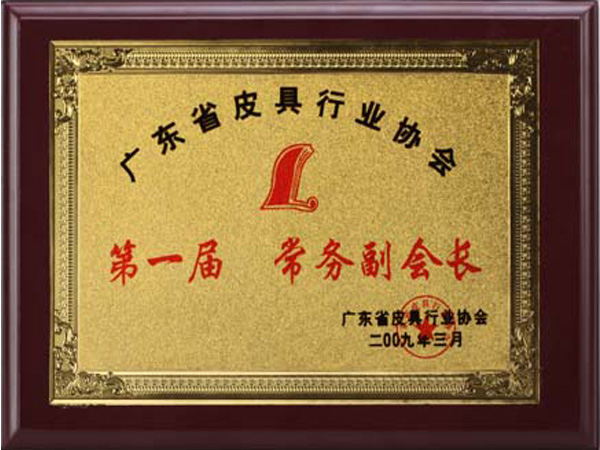 91av（háo）榮（róng）譽：廣東省皮具行業協會常務副會長（zhǎng）